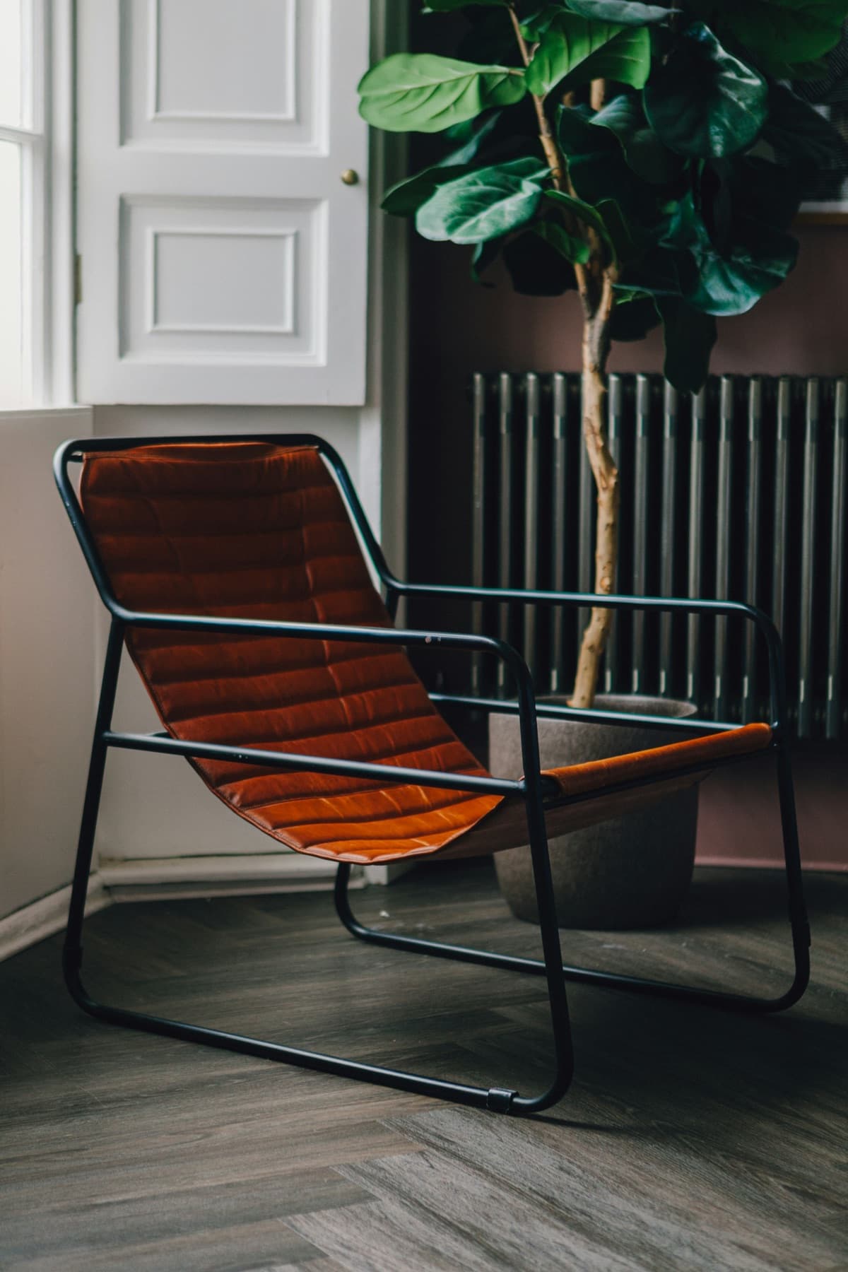 Black steel sling lounge chair with a cognac leather seat on a herringbone floor beside a fiddle-leaf fig, Edinburgh