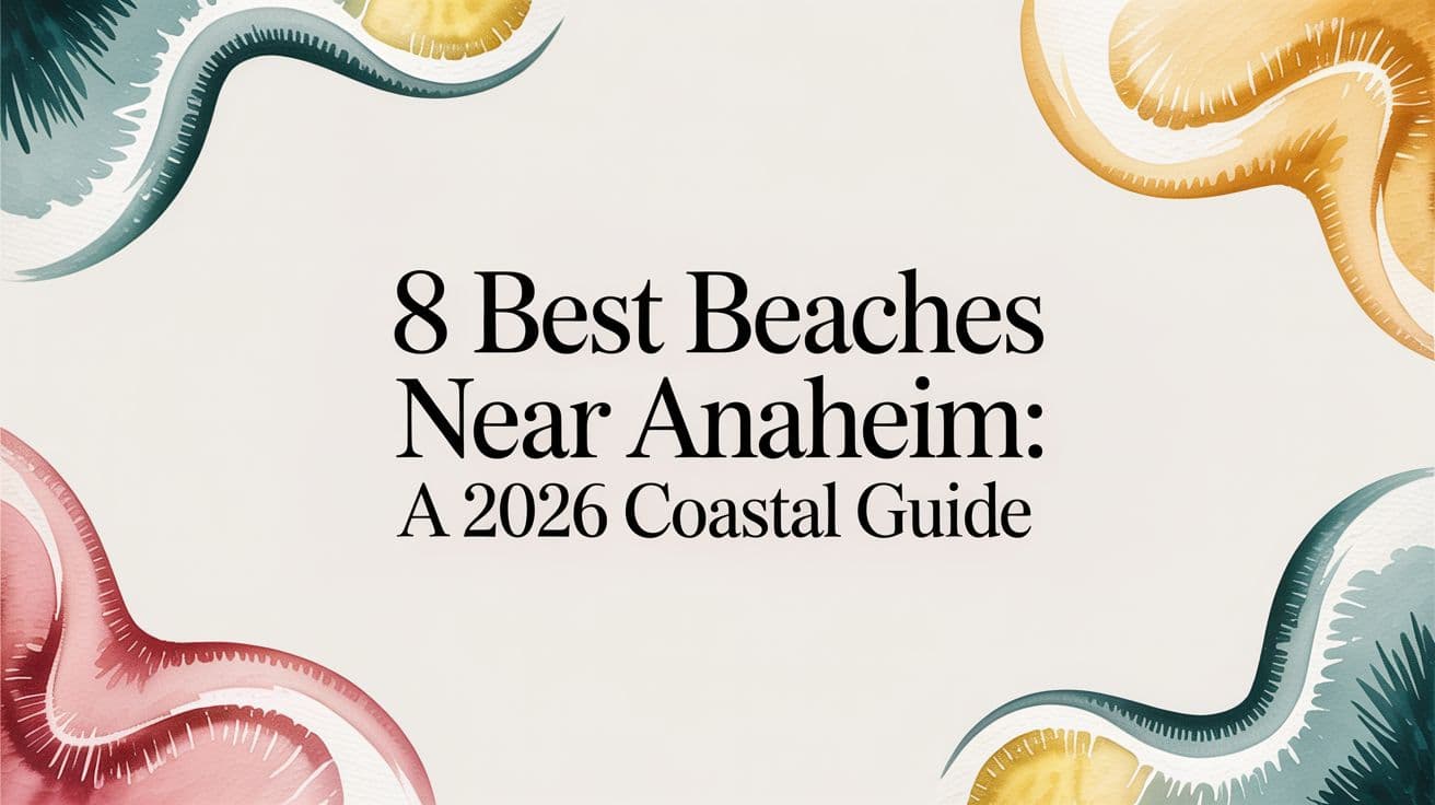 8 Best Beaches Near Anaheim: A 2026 Coastal Guide