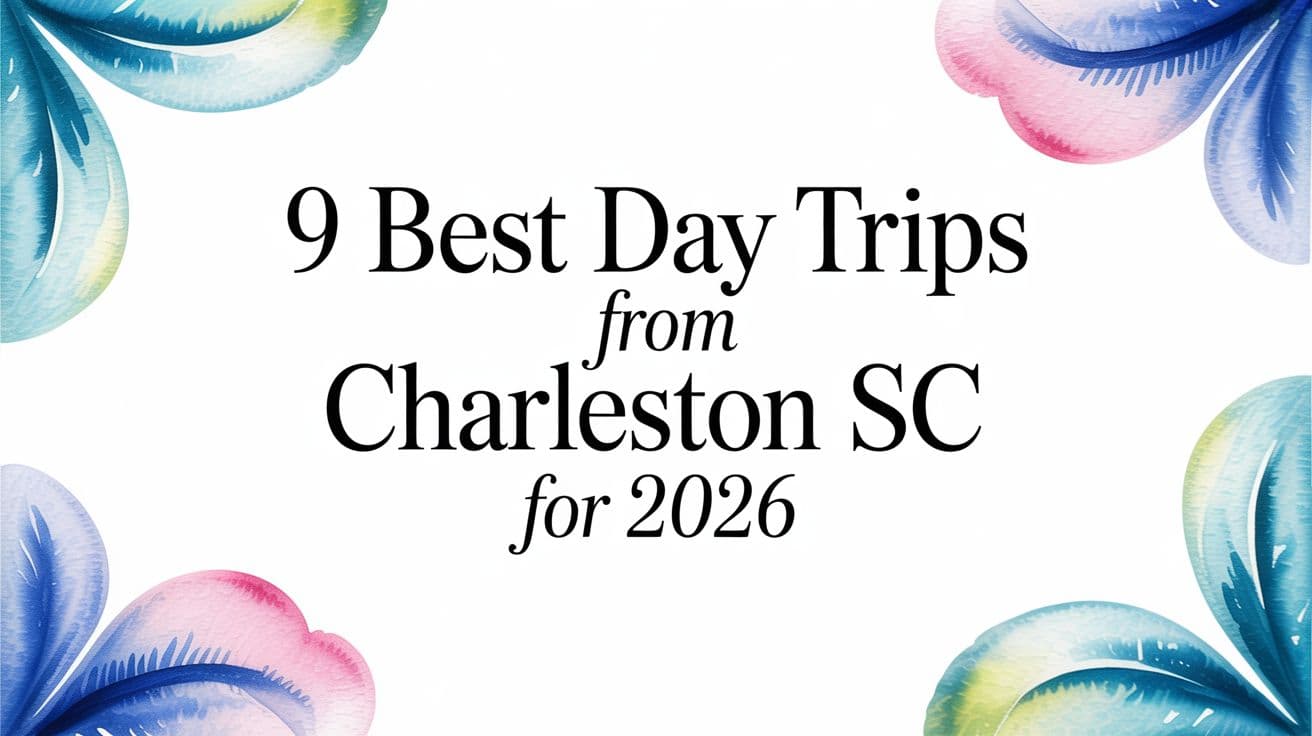 9 Best Day Trips From Charleston SC for 2026